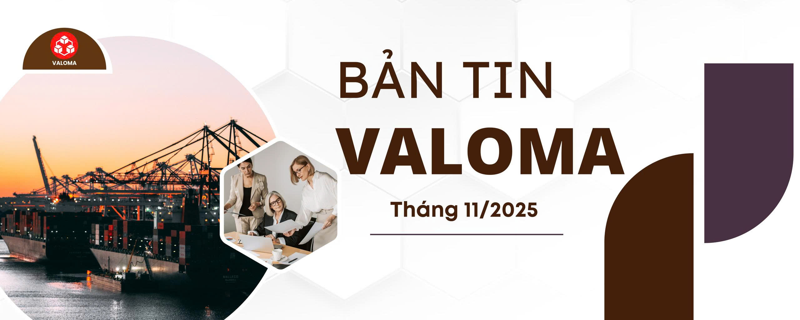 Bản tin VALOMA tháng 11